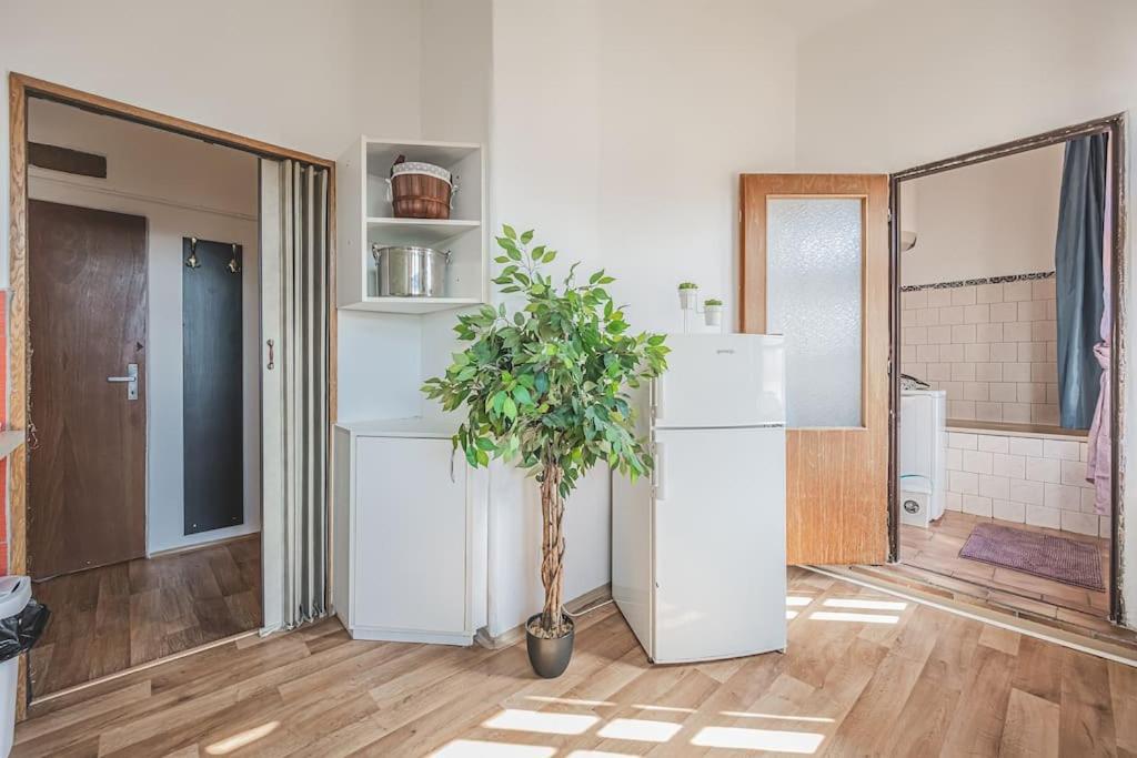 Carolina'S Romantic Apartment Hradec Králové Eksteriør bilde